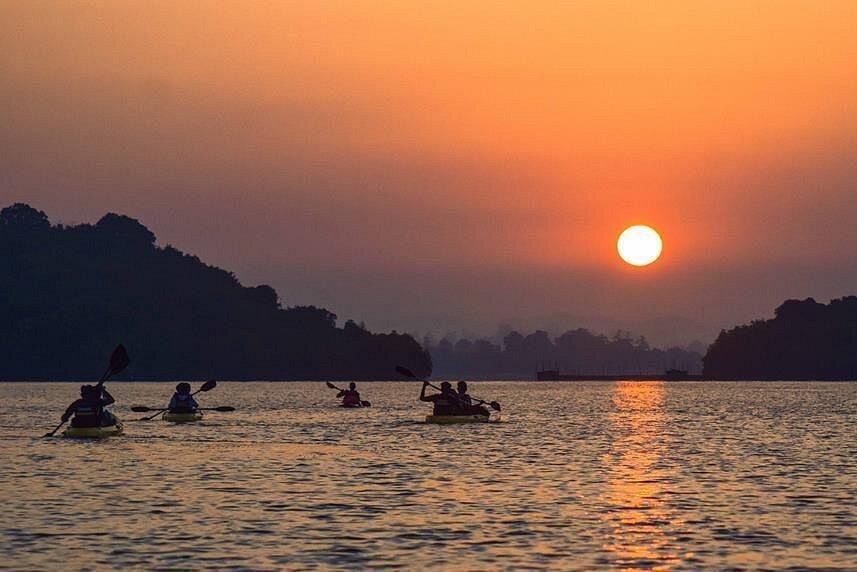 mangrove kayaking bentota